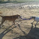  Roxanne, - -  15  2014   _09_2014