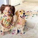 ���� �����, ������ - ��������� 17 ������� 2014 � ������ �����