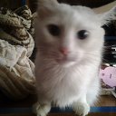 ���� ����, ������������, 23 ���� - ��������� 13 ������ 2014 � ������ ���� ����������