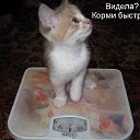 ���� ]{() � � -�]{ @, ������-��-���� - ��������� 23 �������� 2014 � ������ ������� --�� !!!�