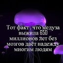 ���� �������, ������, 64 ���� - ��������� 17 ������ 2014 � ������ ������ ��������