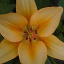 ���� �������, ����� - ��������� 21 �������� 2014 � ������ ��� ��� ������ ���