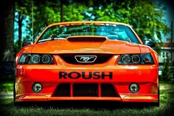 ���� ������ ����� - 18 ������ 2014 � 16:45 - 3