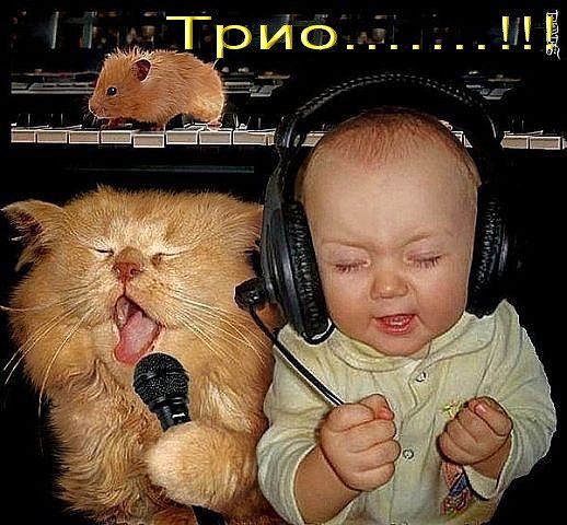 ★   ★ - 26  2014  11:53