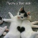 ���� �����, ��������� - ��������� 8 ������ 2014 � ������ ������ ��������