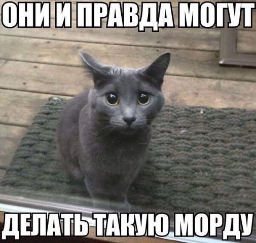  - 4  2014  22:00