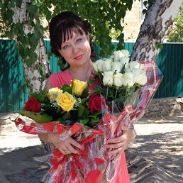 ���� ������, ������-��-���� - ��������� 2 �������� 2014