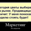 ���� ����, �����, 40 ��� - ��������� 12 ������� 2014 � ������ ������