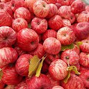 ���� �������, ������������, 63 ���� - ��������� 7 ������� 2014 � ������ ������ ��������