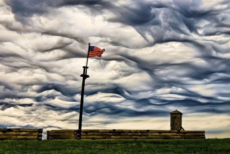   .Undulatus asperatus,        ... - 2