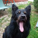 ���� ����, ������, 64 ���� - ��������� 8 ������ 2014 � ������ ������ ��������