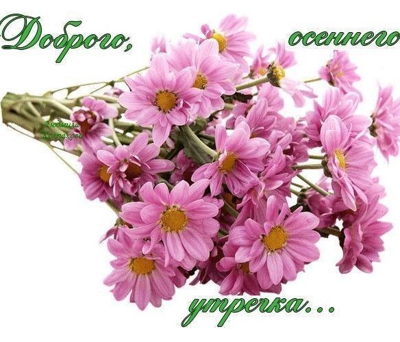  - ,  !   ,   -   ?  -   ... ...