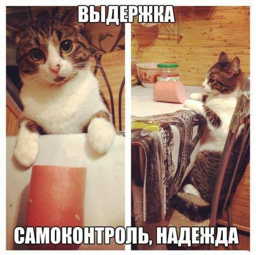 �������������� �� ���: <a href=