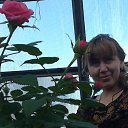 ���� ��������, ������ ��������, 57 ��� - ��������� 13 �������� 2014 � ������ ���� ����������