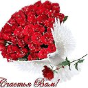 ���� �����, �������� ����, 53 ���� - ��������� 29 ������ 2014 � ������ ������ ��������