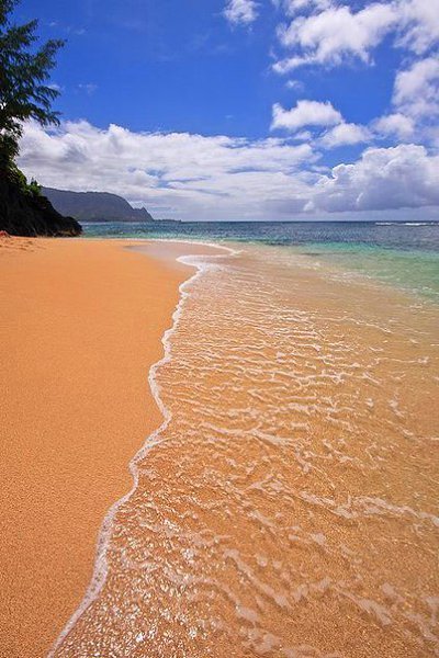 ������ - 4