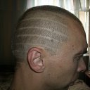 ���� ������, �����-���������, 46 ��� - ��������� 2 �������� 2014 � ������ ���� ����������