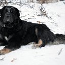 Nasledie Tibeta Geya-Lee �� ������� ���� ����������