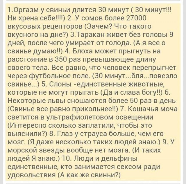 �������� ������ � ������ - 31 ������� 2014 � 15:03