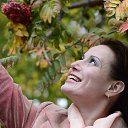 ���� ���������, ������ - ��������� 5 ������� 2014 � ������ �߻