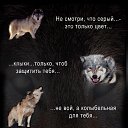 ���� Boginia, ������-��-���� - ��������� 26 ������� 2014 � ������ ������ ��������