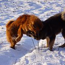 ������ ���-����))))) �� ������� �������� �����)�