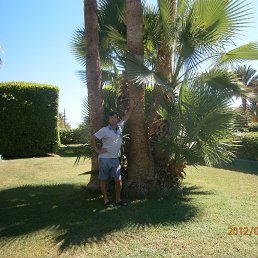 �������, �����-���������, 54 ����