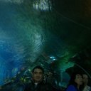 ���� N., �����-���������, 44 ���� - ��������� 27 ������� 2014 � ������ ���� ����������