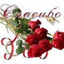 ���� ������, ��������� - ��������� 28 ������� 2014 � ������ ������ ��������