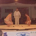 ���� ��������, ������, 44 ���� - ��������� 3 �������� 2014 � ������ ���� ����������