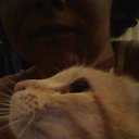 ���� ����������, ����� - ��������� 17 ������� 2014 � ������ ������ ��������