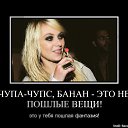 ���� ����������, ���� - ��������� 7 ������ 2014 � ������ ������ ��������