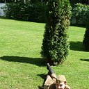 ���� �����, ������, 44 ���� - ��������� 26 ������� 2014 � ������ ���� ����������