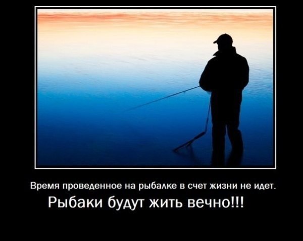 ����� ������� - 4 ������ 2014 � 11:51