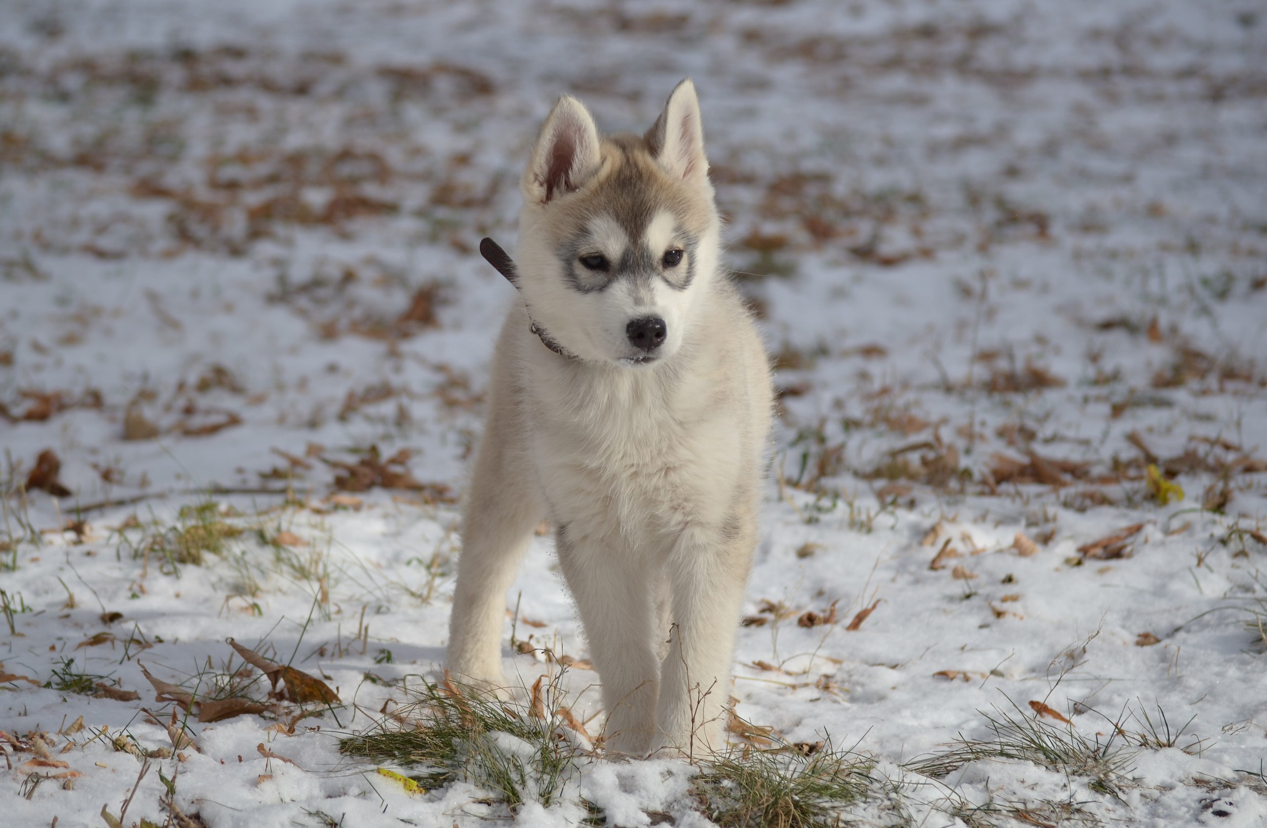 �������