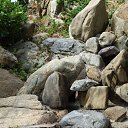 �������, ������� �� ������� ��������-2013�