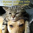 ���� ������, ������, 57 ��� - ��������� 11 ������� 2014 � ������ ������ ��������
