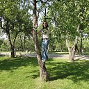���� �����, ������, 36 ��� - ��������� 12 ������� 2014 � ������ ���� ����������
