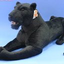 ���� �����, ���������, 53 ���� - ��������� 18 ������� 2014 � ������ ������ ��������