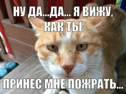       - 23  2014  14:07
