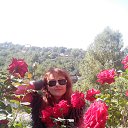  , , 46  -  22  2014    2014