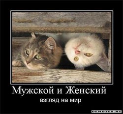 ,  !!! fotostrana.ru/public/237440/?      : ...