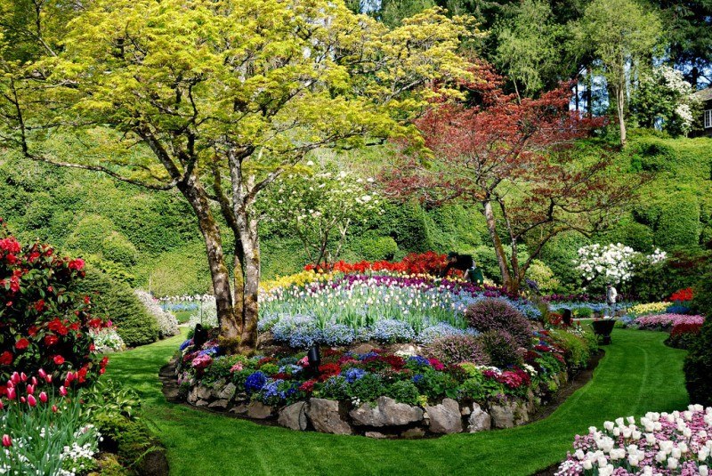   (Butchart Gardens, , ).  (Butchart Gardens)   ... - 7