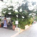 ����,����� �������� ����,�������� 2014 �� ������� ����� 2014�