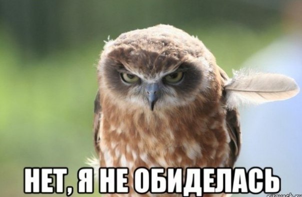 JPG - 26  2014  19:39 - 2