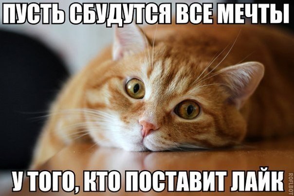  - 26  2014  07:59