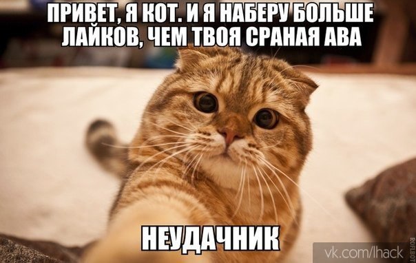 :3