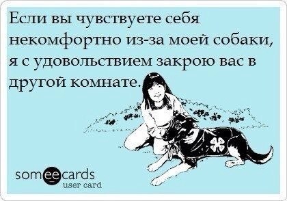 .•°Dogs Forever°•. - 14 октября 2014 в 21:29
