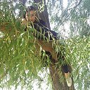 ���� ����, ������������, 30 ��� - ��������� 1 ������� 2014 � ������ ������ ��������