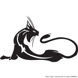 ���� ������, ������ - ��������� 11 ������ 2014